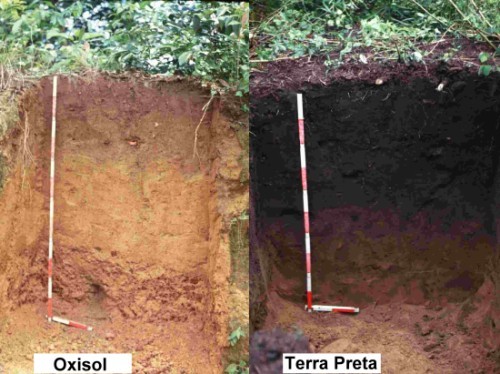 Terra preta Terra preta