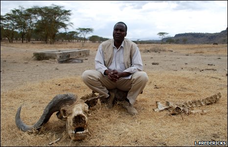 Bawół /wp-content/upload/artykuly-rozne/bawol.jpg