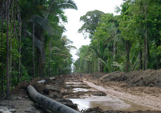 brazil-rainforest brazil-rainforest