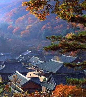 Country Korea Country Korea