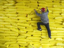 Cykle azotowe i fosforowe Cykle azotowe i fosforowe