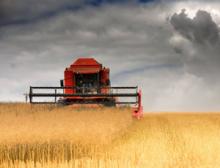 Użytkowanie gruntów Użytkowanie gruntów