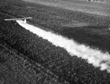 Zanieczyszczenia chemiczne Zanieczyszczenia chemiczne