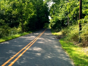Dokąd prowadzi „Mapa drogowa 2050”?
