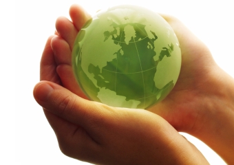 "Zielona energia" "Zielona energia"