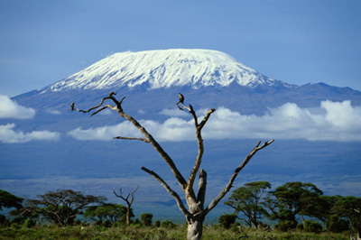 kilimandzaro kilimandzaro
