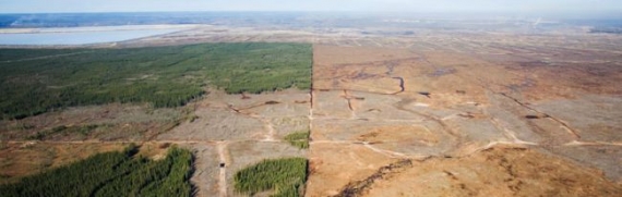 Katastrofa klimatyczna