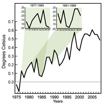 Wahania temperatury Wahania temperatury