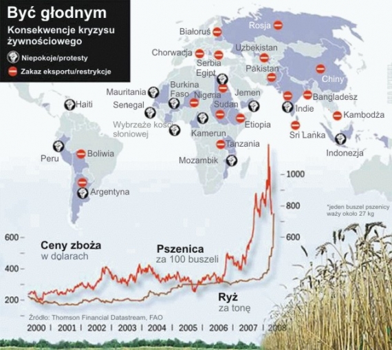 Kryzys żywnościowy w krajach