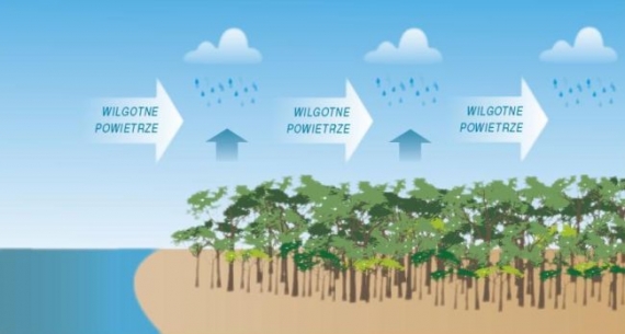 Wilgotne powietrze znad oceanu Wilgotne powietrze znad oceanu