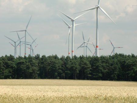 fot. Fot. Izabella Jachimska. Na polach otaczających wioskę rośnie zboże i energia. fot. Fot. Izabella Jachimska. Na polach otaczających wioskę rośnie zboże i energia.
