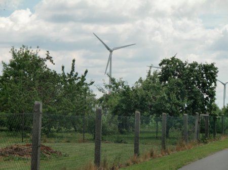 fot. Fot. Izabella Jachimska. Elektrownie wiatrowe wyrastają tuz za opłotkami wioski, ale żadnemu z mieszkańców jakoś to nie przeszkadza. fot. Fot. Izabella Jachimska. Elektrownie wiatrowe wyrastają tuz za opłotkami wioski, ale żadnemu z mieszkańców jakoś to nie przeszkadza.