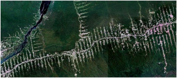 . Okolice Autostrady Transamazońskiej