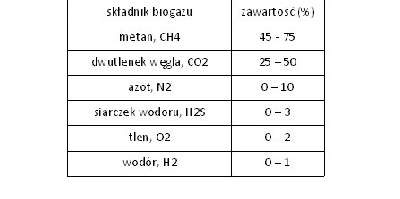 Skład biogazu