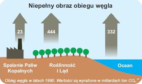 Niepełny obraz obiegu C