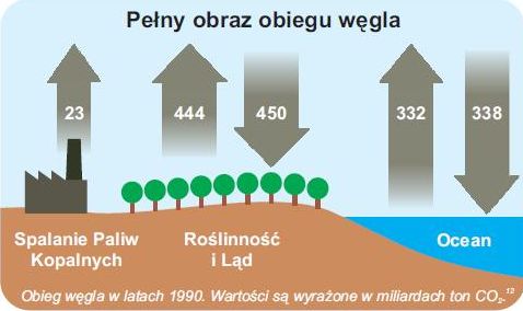 Pełny obieg węgla