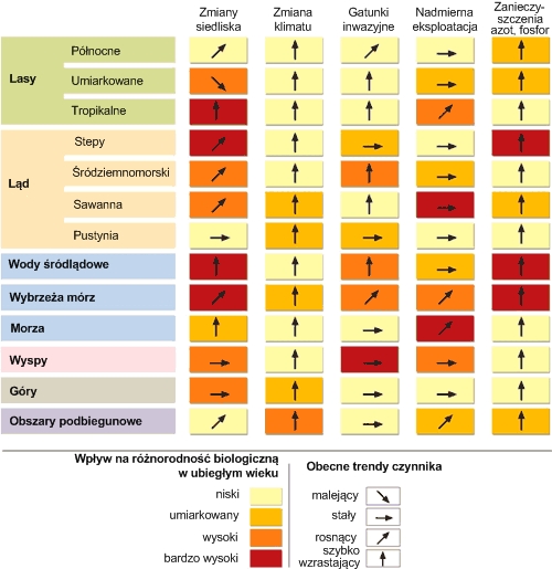 Wpływ różnych czynników na środowisko