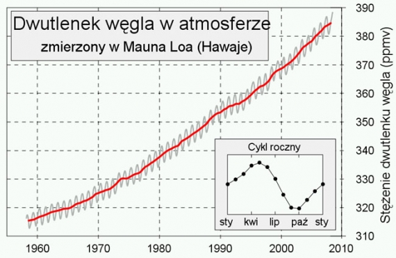 Zmiany koncentracji CO2 Zmiany koncentracji CO2