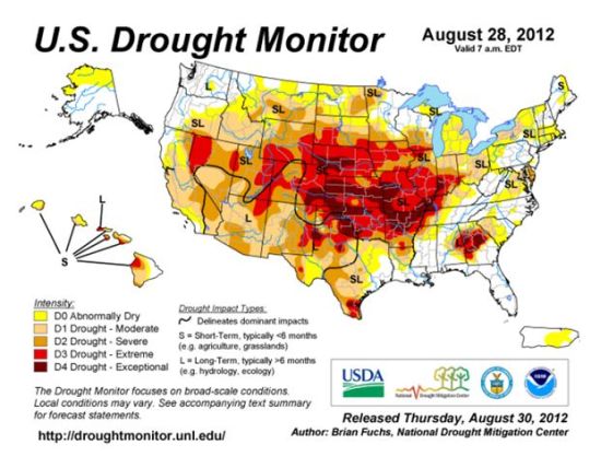 Susze w USA VIII 2012