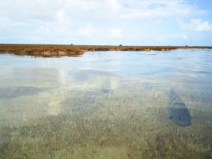Cykl hydrologiczny ulega zakłóceniom
