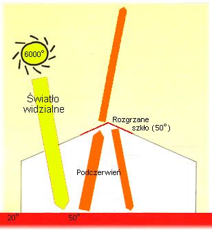 szklarnia przykryta szkłem