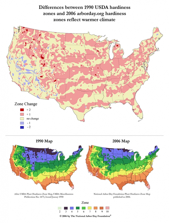 Porównanie przesunięcia stref ostrości klimatu wg Narodowego Związku Ogrodniczego USA z roku 2006 względem roku 1990. Porównanie przesunięcia stref ostrości klimatu wg Narodowego Związku Ogrodniczego USA z roku 2006 względem roku 1990.
