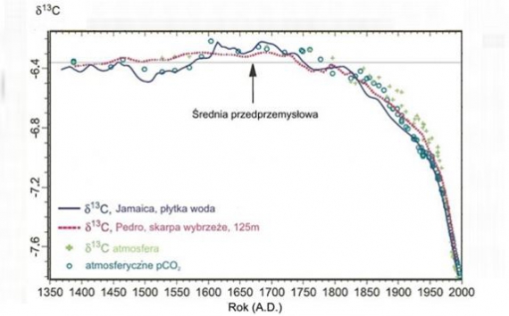 względna koncentracja węgla 13C względem 12C