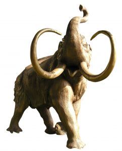 mamut