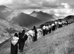 Migracje klimatyczne