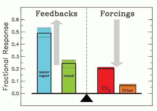 spektralna absorpcja składników