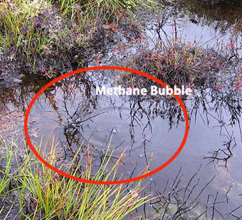 Bąble metanu z jeziora Bąble metanu z jeziora