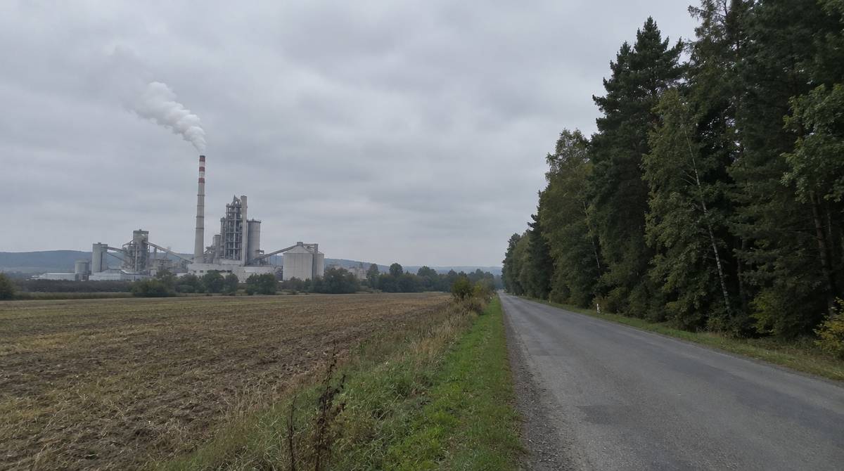 Cementownia z dymiącym kominem i las mieszany po drugiej stronie pola, pod zachmurzonym niebem