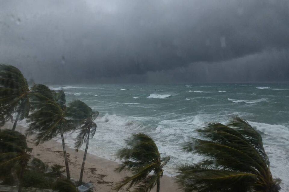 Huragan nad oceanem tropikalnym, palmy kokosowe pochylone przez silny wiatr i wysokie fale na plaży