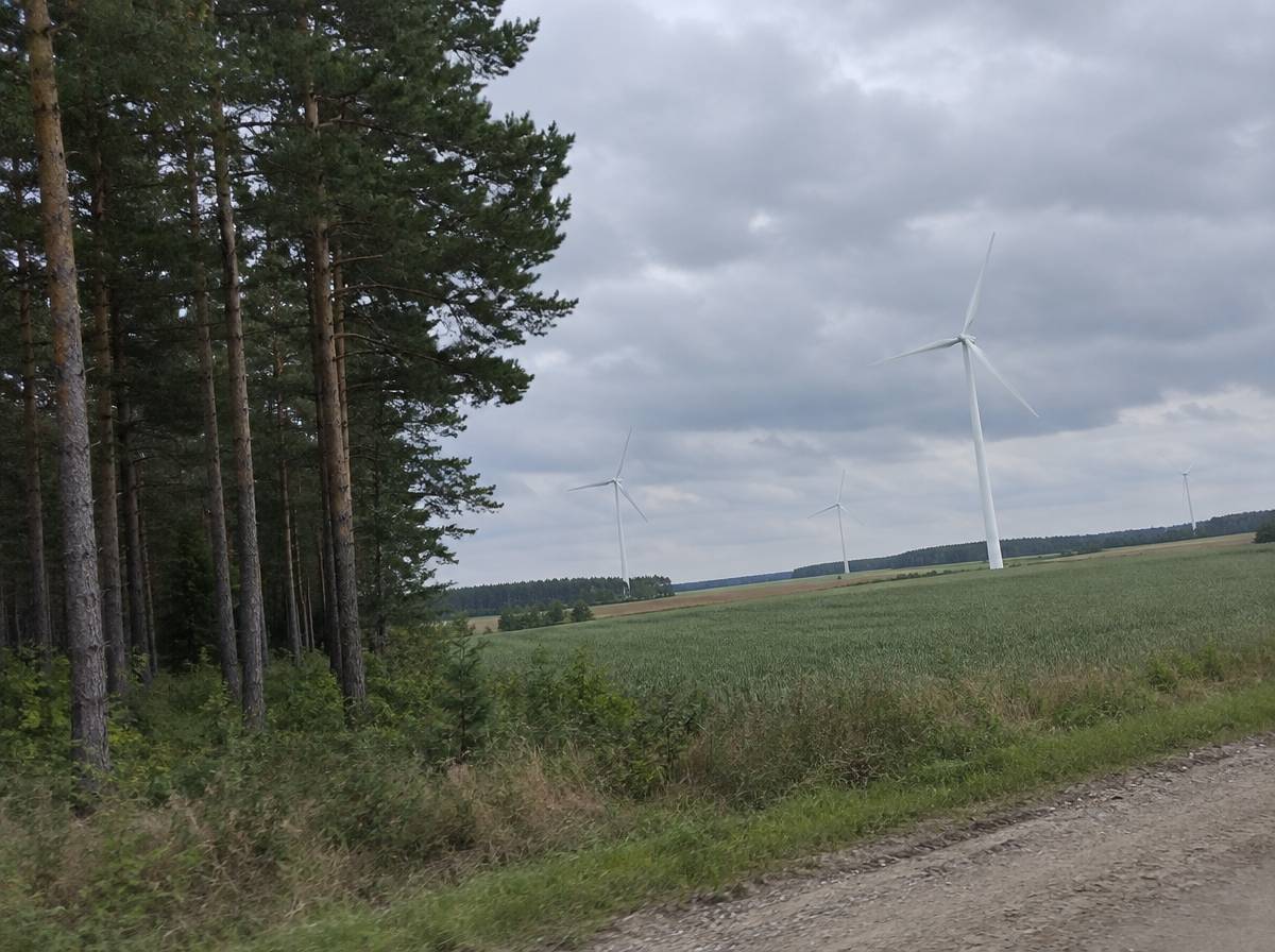 Skraj lasu sosnowego przy polnej drodze, a za polem uprawnym turbiny wiatrowe pod zachmurzonym niebem