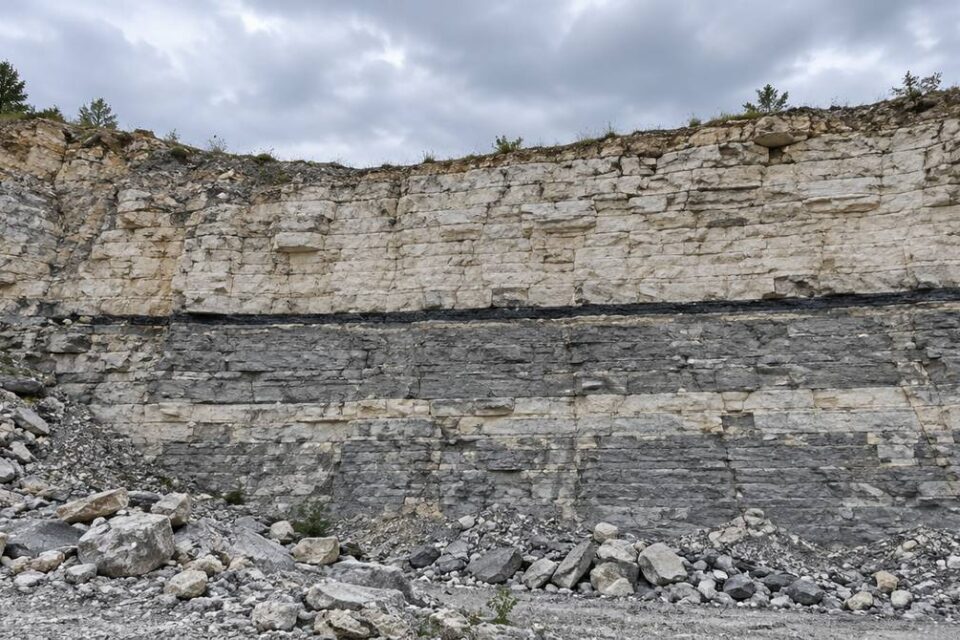 Odsłonięcie warstwowanych skał osadowych, wapieni i łupków, z cienką ciemną warstwą graniczną