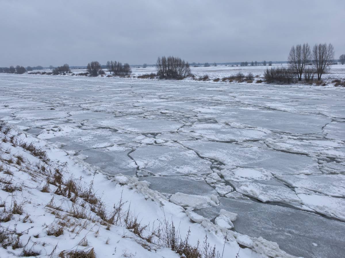Szeroka nizinna rzeka skuta spękaną pokrywą lodową, zaśnieżone brzegi i pola w mroźny dzień