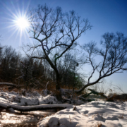 Zima nad rzeką Małą w Konstancinie-Jeziornej, fot. Daniel Petryczkiewicz