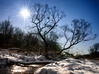 Zima nad rzeką Małą w Konstancinie-Jeziornej, fot. Daniel Petryczkiewicz