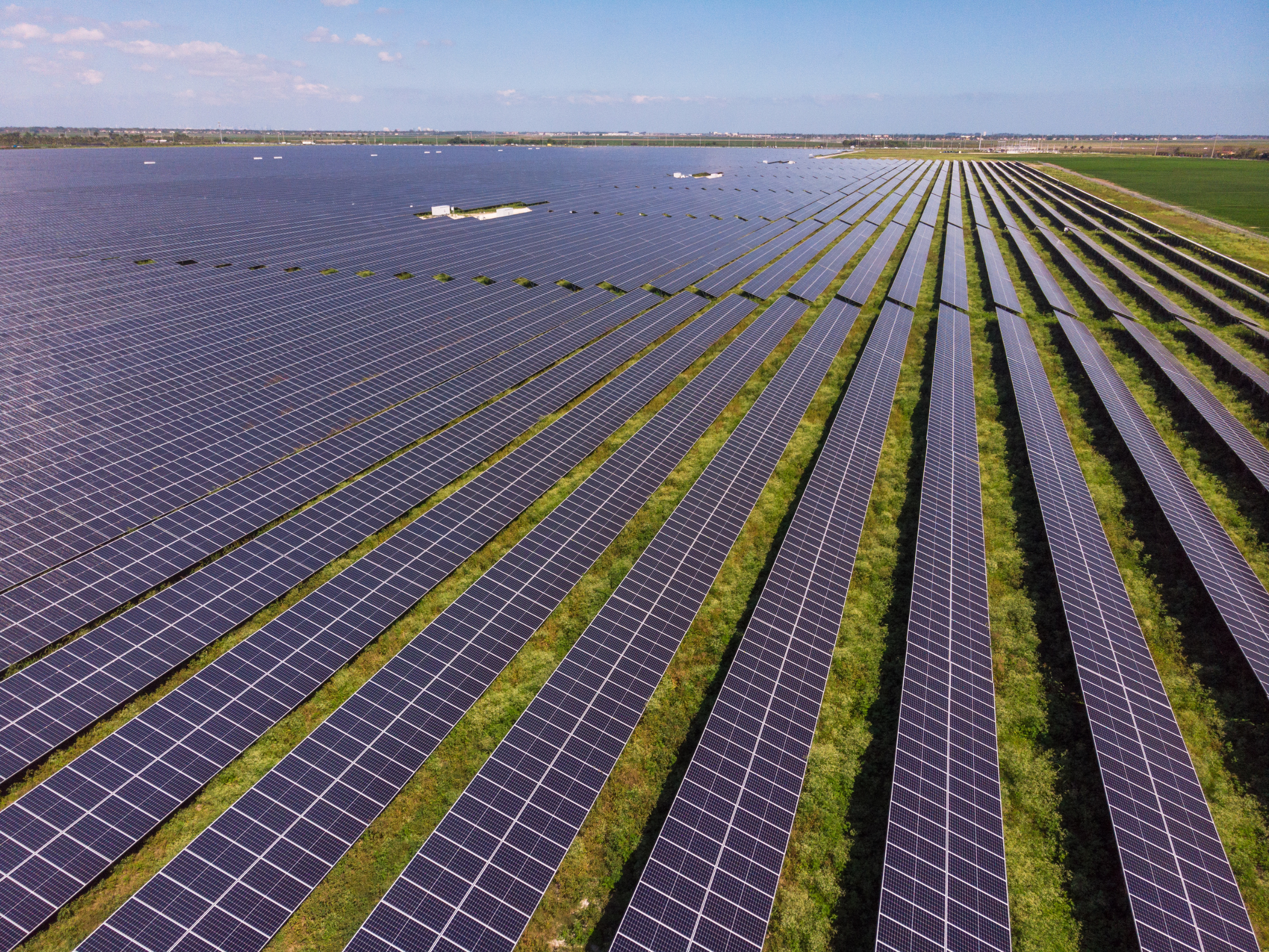 Czysta energia to m.in. widoczne na zdjęciu farmy słoneczne.