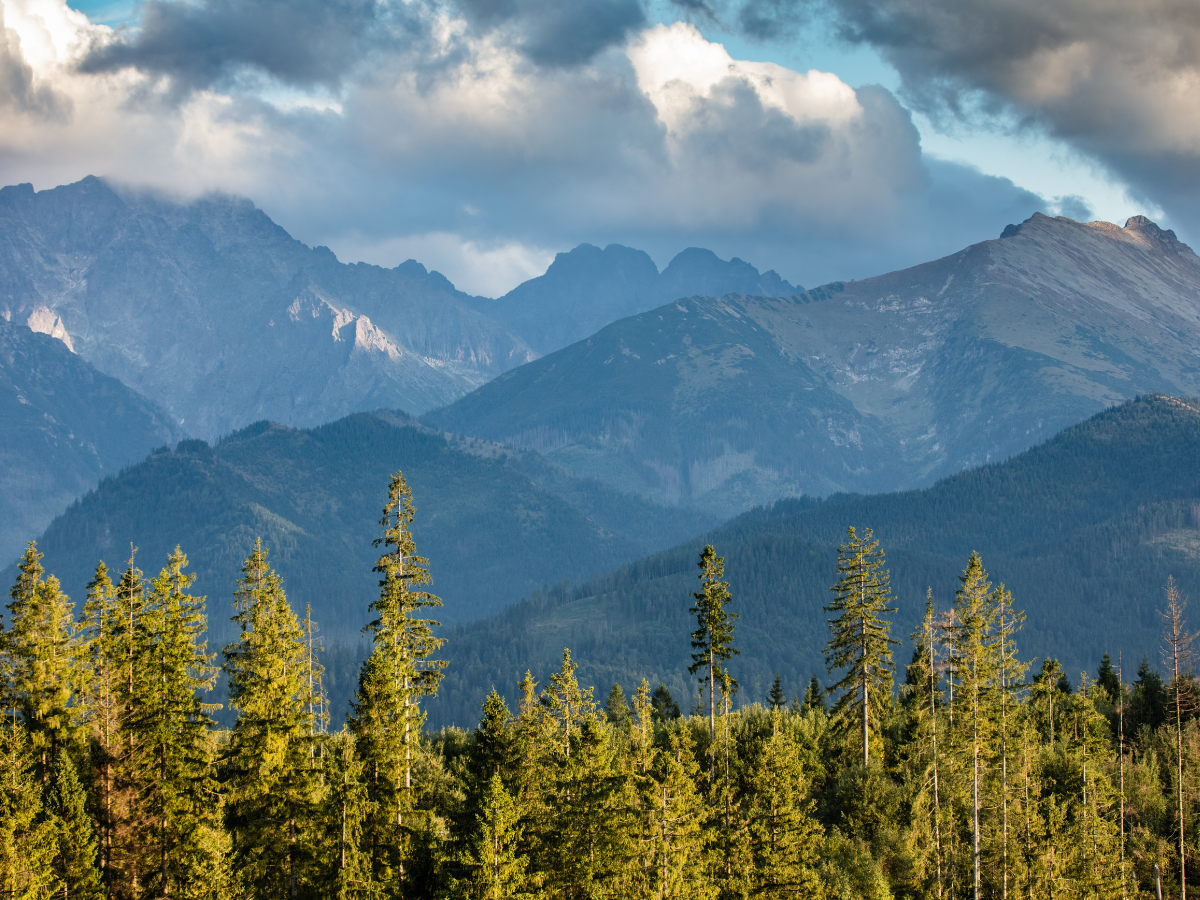 Góry w Polsce. Źródło: Canva.