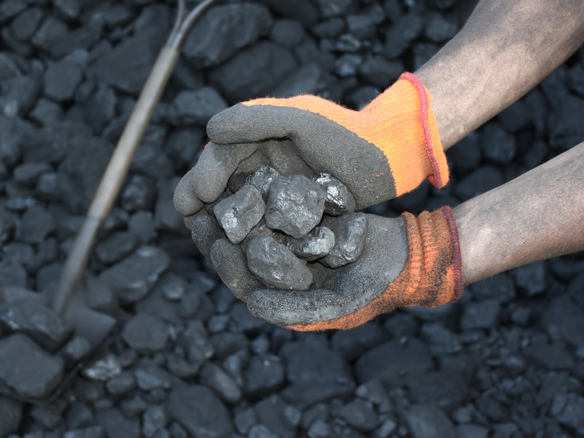 Węgiel trzymany w rękach górnika
