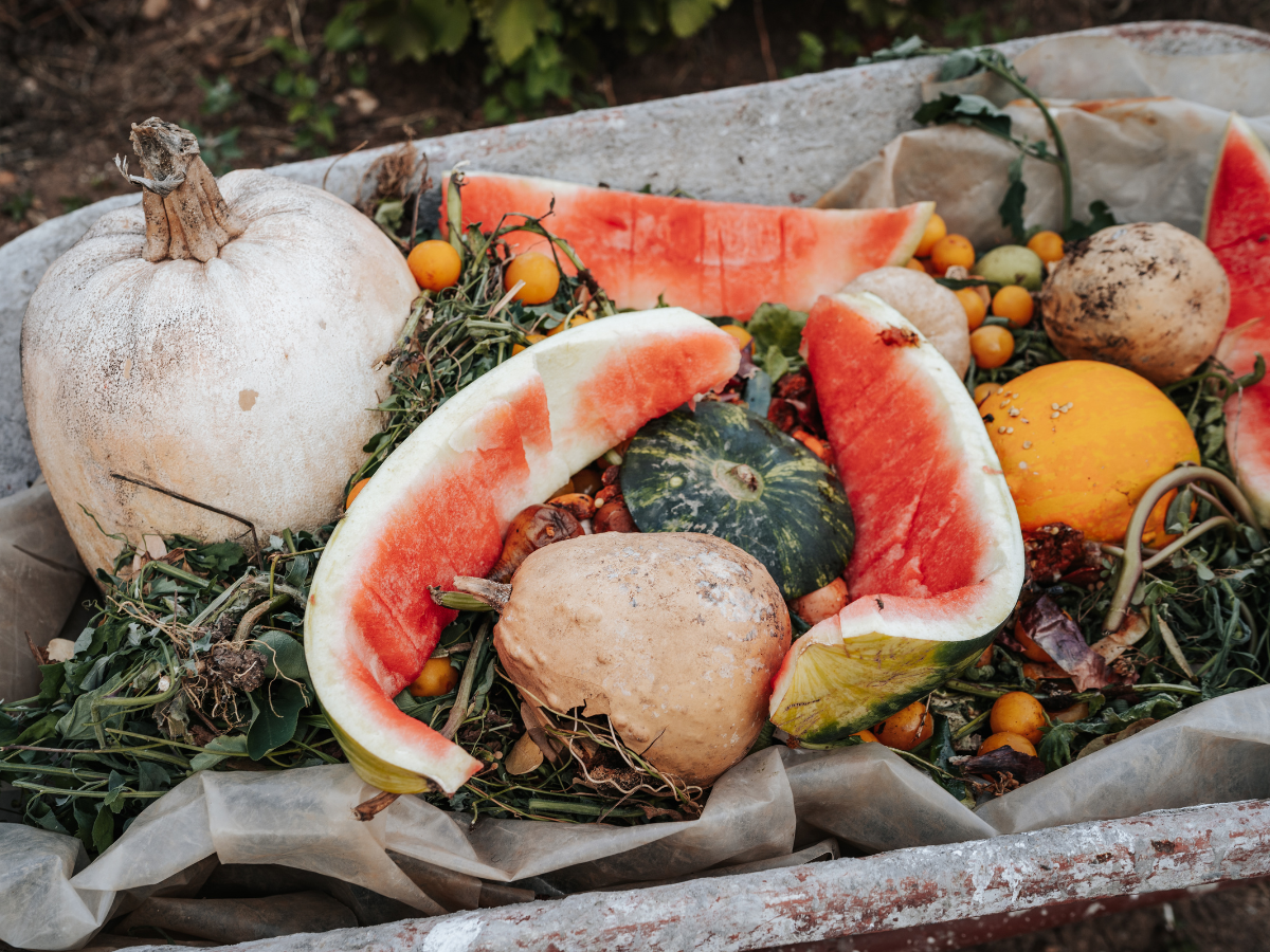 Odpady żywnościowe